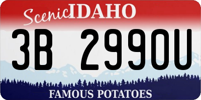 ID license plate 3B2990U