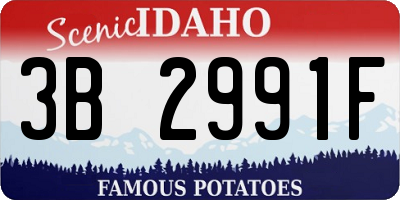 ID license plate 3B2991F