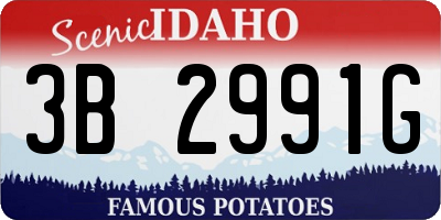 ID license plate 3B2991G