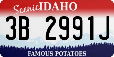 ID license plate 3B2991J