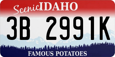 ID license plate 3B2991K
