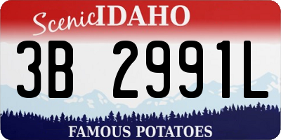 ID license plate 3B2991L