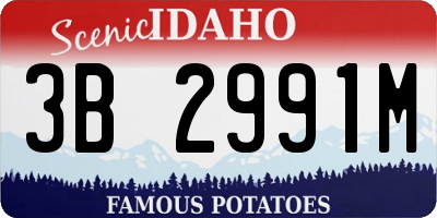 ID license plate 3B2991M