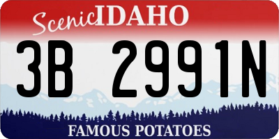 ID license plate 3B2991N