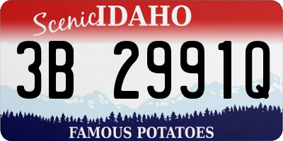 ID license plate 3B2991Q