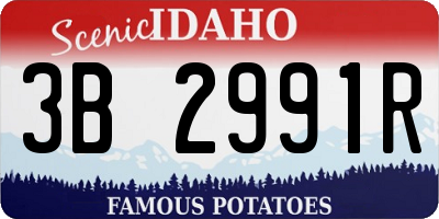 ID license plate 3B2991R