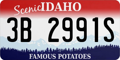 ID license plate 3B2991S