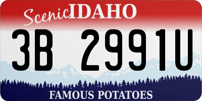 ID license plate 3B2991U