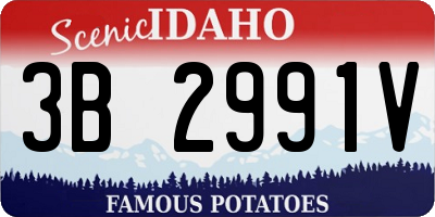 ID license plate 3B2991V