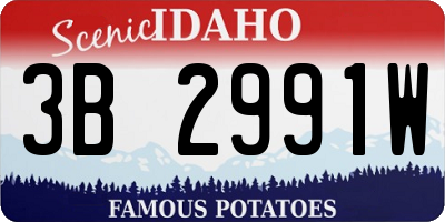 ID license plate 3B2991W