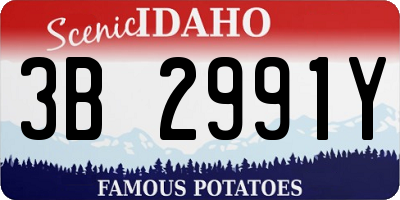 ID license plate 3B2991Y