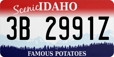 ID license plate 3B2991Z
