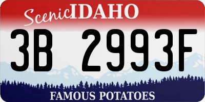 ID license plate 3B2993F