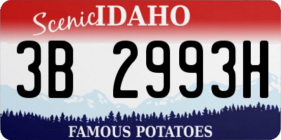ID license plate 3B2993H