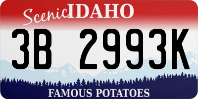 ID license plate 3B2993K