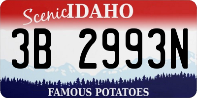 ID license plate 3B2993N