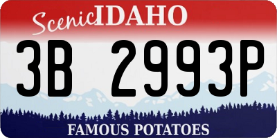 ID license plate 3B2993P