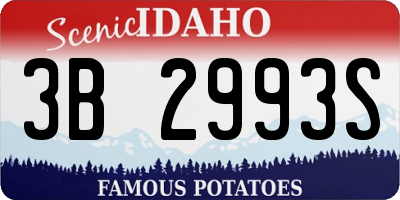ID license plate 3B2993S