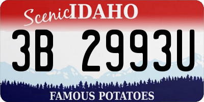 ID license plate 3B2993U