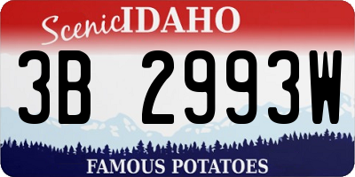ID license plate 3B2993W