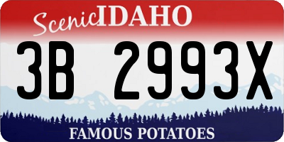 ID license plate 3B2993X