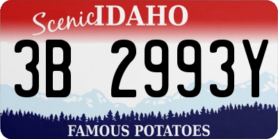 ID license plate 3B2993Y