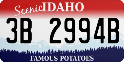 ID license plate 3B2994B