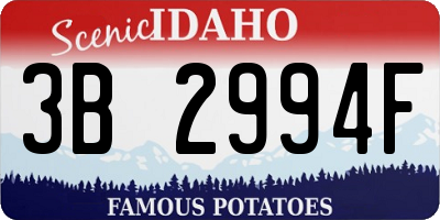 ID license plate 3B2994F