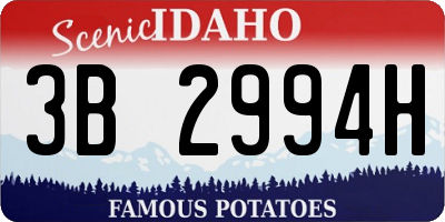 ID license plate 3B2994H