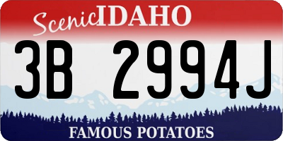 ID license plate 3B2994J