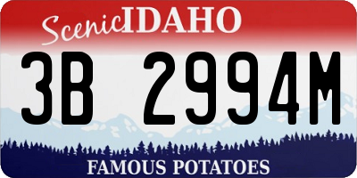 ID license plate 3B2994M