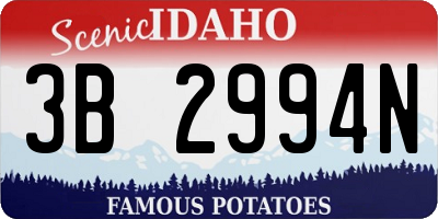 ID license plate 3B2994N