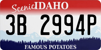 ID license plate 3B2994P
