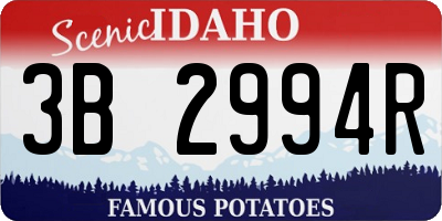 ID license plate 3B2994R