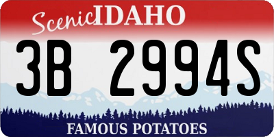 ID license plate 3B2994S