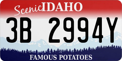 ID license plate 3B2994Y