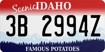 ID license plate 3B2994Z