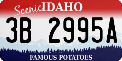 ID license plate 3B2995A