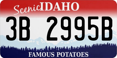 ID license plate 3B2995B