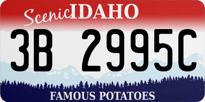 ID license plate 3B2995C