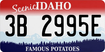 ID license plate 3B2995E