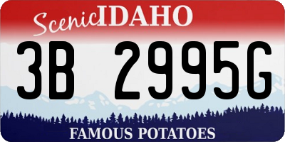 ID license plate 3B2995G