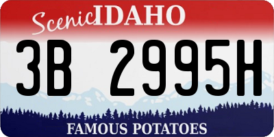 ID license plate 3B2995H