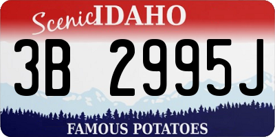 ID license plate 3B2995J