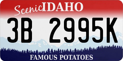 ID license plate 3B2995K