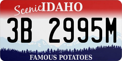 ID license plate 3B2995M