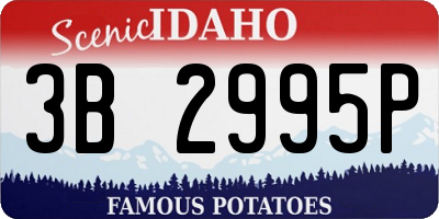 ID license plate 3B2995P