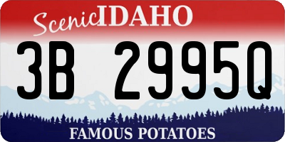 ID license plate 3B2995Q