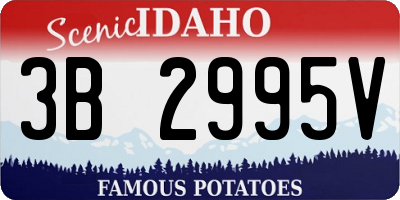 ID license plate 3B2995V