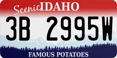 ID license plate 3B2995W